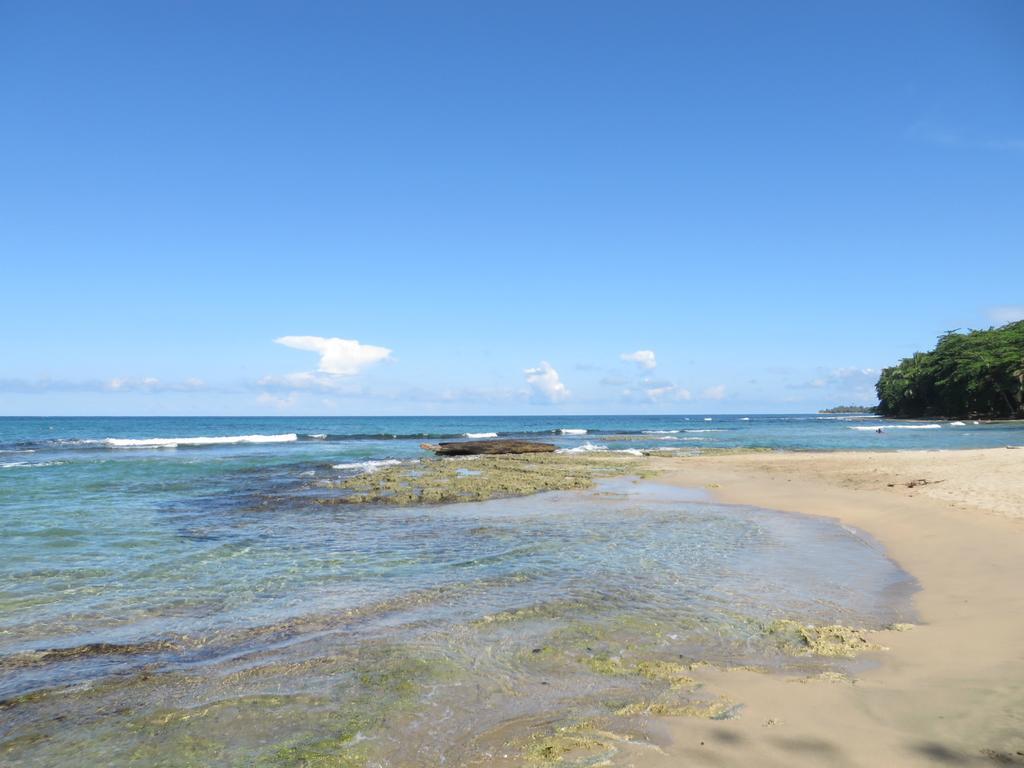 La Kukula Lodge Puerto Viejo de Talamanca Екстер'єр фото