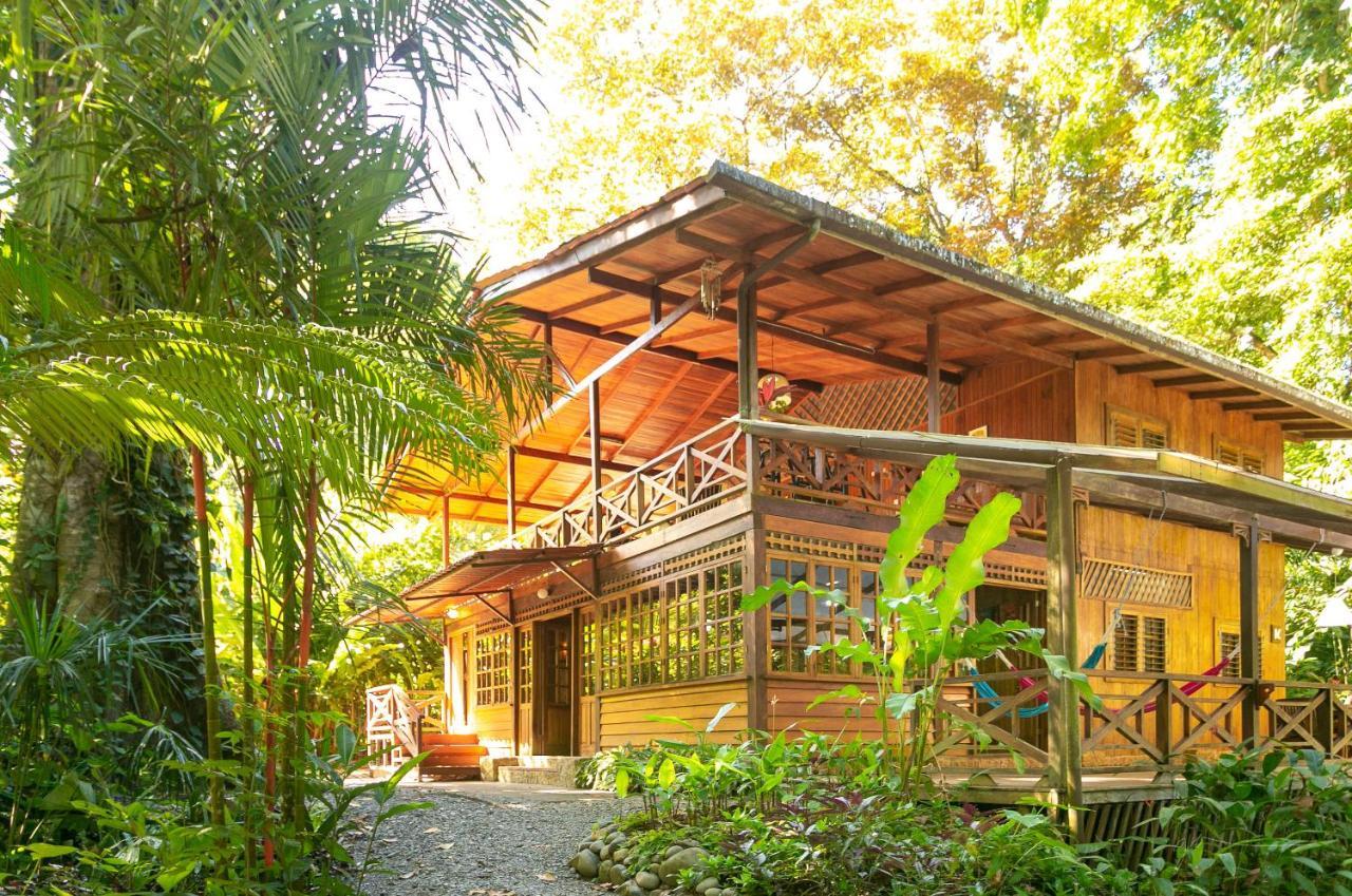 La Kukula Lodge Puerto Viejo de Talamanca Екстер'єр фото